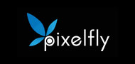 thepixelfly